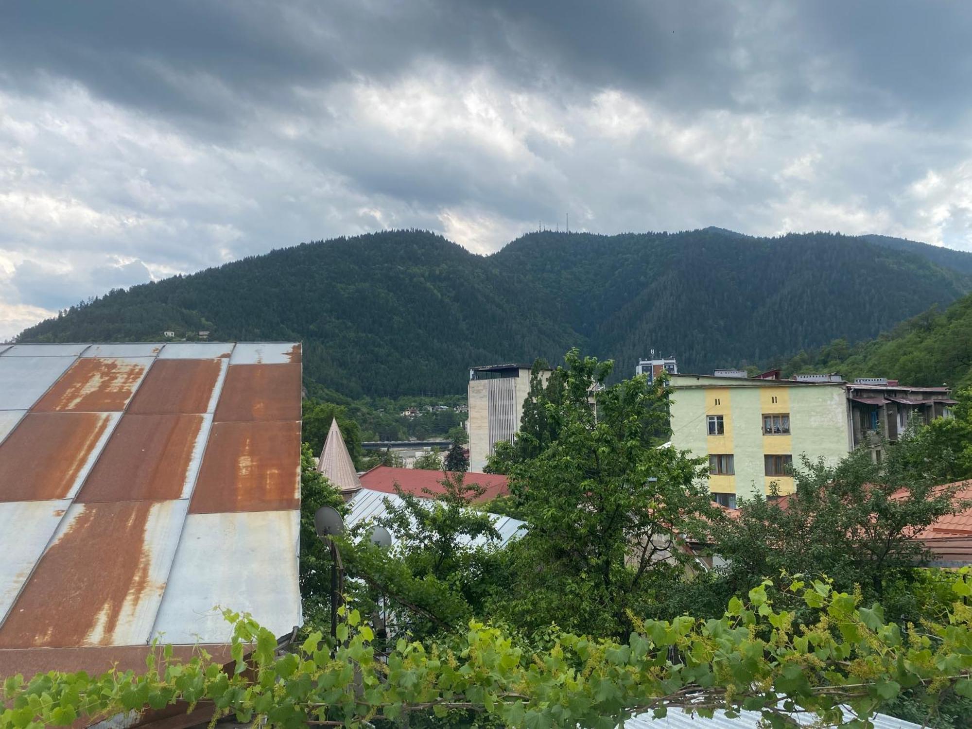 Hillside Guesthouse Borjomi Exteriör bild